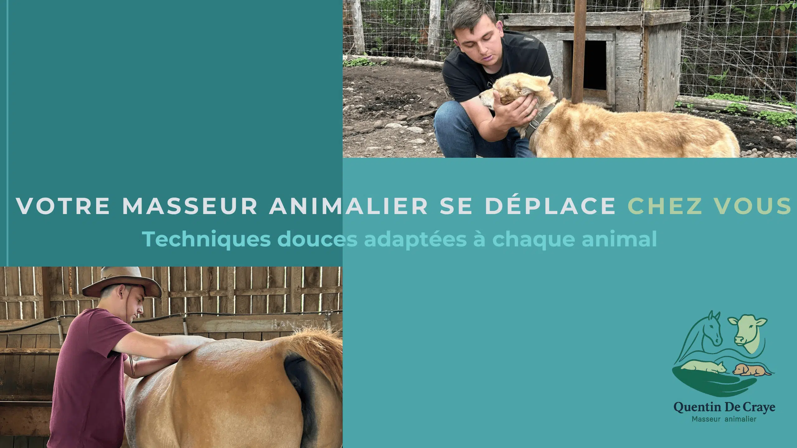 Votre masseur animalier se déplace chez vous